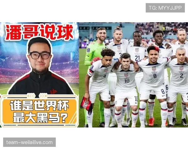 2026世界杯黑马球队关键球员分析