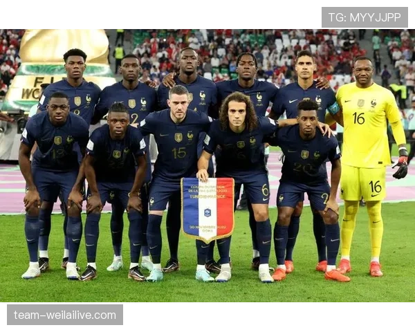 突尼斯2026世界杯阵容预测 萨西领衔北非劲旅能否再现黑马本色